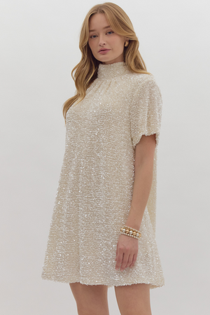 Sparkle & Shine Sequin Dress